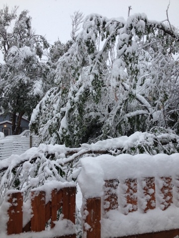 Winter Storm Atlas